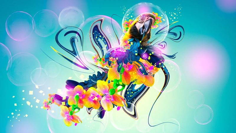 computer Graphic, multi Colored, indoors, digital composite, swirl, color Image, large group of objects, illustration, mixing, choice, decoration, macaw