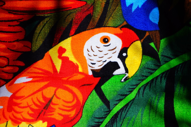 representation, no people, bench towel, creativity, multi colored, bath towel, terry, pattern, full frame, parrot, colorful, mural, terry cloth fabric