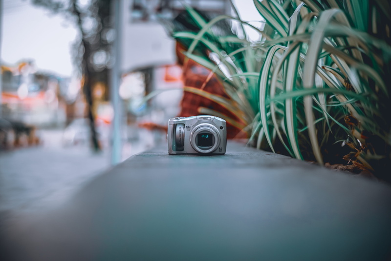 powershot, nature, plant, camera, photographic equipment, no people, electronics, wiring, surveillance, camera - photographic equipment, security camera
