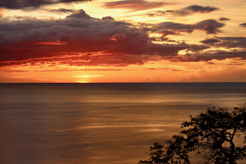 sea, land, orange color, papagayo peninsula, beauty in nature, sunset, cloud - sky, tree, sky, ocean, idyllic, tranquil scene, water, costa rica, horizon
