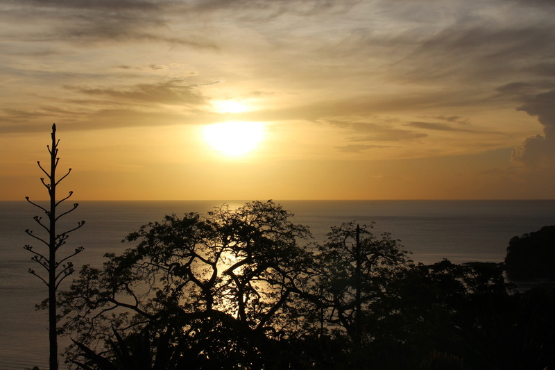 4K, horizon over water, idyllic, horizon, silhouette, scenics - nature, costa rica, tree, cloud - sky, water, sky, tranquility, trees, plant, no people