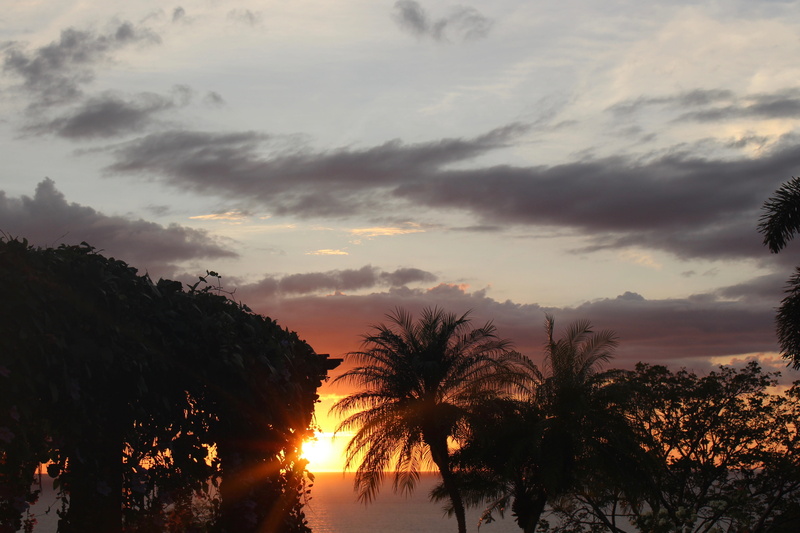 nature, palm tree, tranquility, water, tree, no people, cloud - sky, papagayo peninsula, idyllic, costa rica, tropical, non-urban scene, scenics - nature