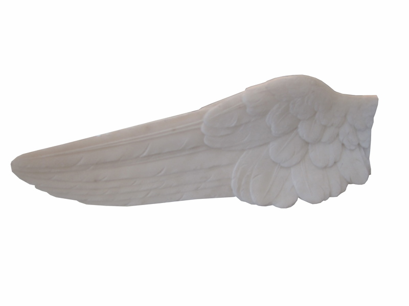 plumage, feather, house sparrow, gull, wing, mid-air, studio shot, still life, flying, rose, sperling, forest, bill, creature, white, cut out, stork, animal wing