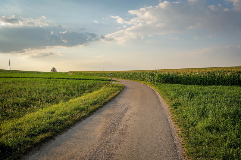 path, landscape, the way forward, no people, tranquility, road, growth, clouds, away, plant, mood, dom, sky, grass, outdoors, rural, green color, diminishing perspective