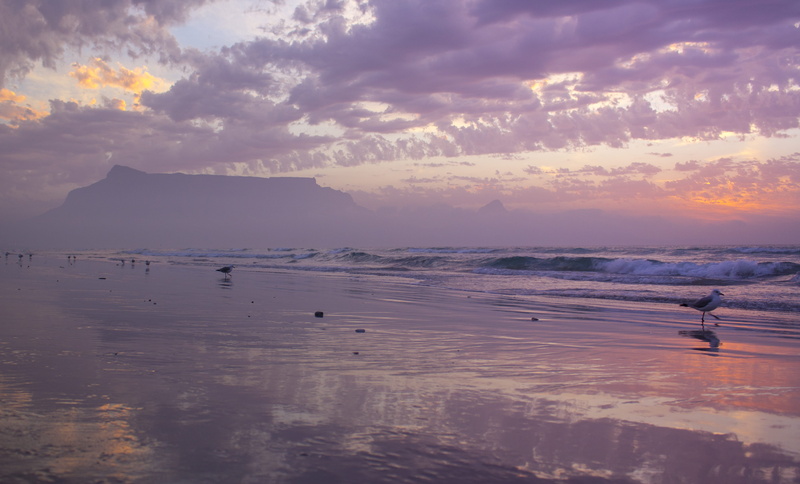 tranquil scene, sunset, clouds, sea, outdoors, 4K, sky, waves, idyllic, beach, milnerton lighthouse, nature, south africa, tranquility, non-urban scene