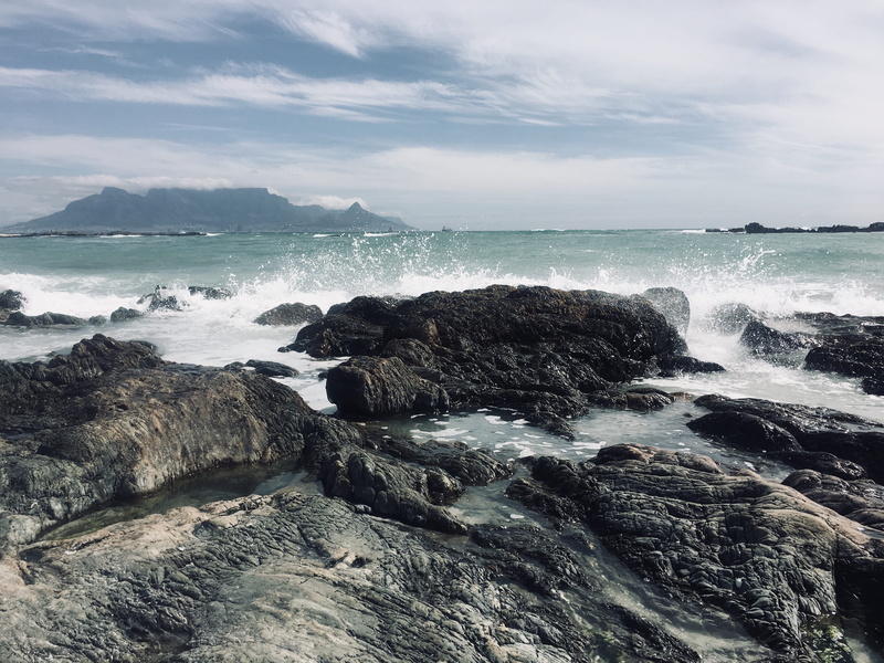 flower, wave, ocean, power in nature, breaking, cloud - sky, coast, 4K, cliff, cape town, sport, land, south africa, rocky coastline, sea waves, plant