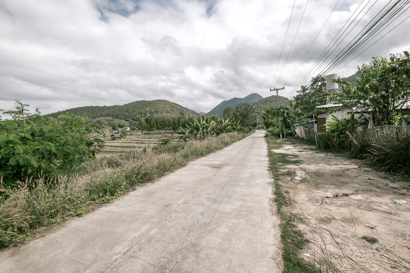 beauty in nature, the way forward, no people, tree, vanishing point, road, outdoors, plant, sky, street, diminishing perspective, day, power supply, electricity pylon