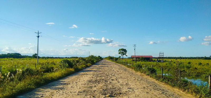 direction, road, travel, colombia, electricity, cable, transportation, vanishing point, telephone line, plant, connection, the way forward, electricity pylon