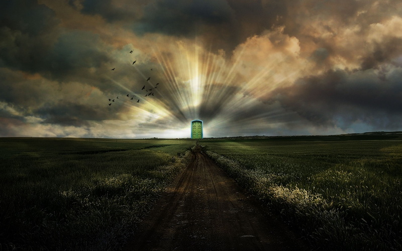 plant, Portal, landscape, nature, no people, blurred motion, scenics - nature, Road, direction, Field, land, the way forward, vanishing point, outdoors