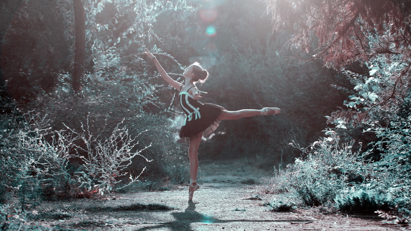 forest, background, style, outdoors, day, summer, choreography, land, fantasy, makeup, adult, woodland, woman, hands, animal wildlife, spooky, nature, sports