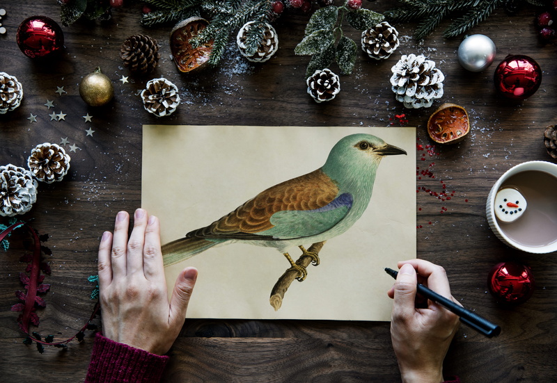 human hand, women, person, hand, green, hands, food, finger, one person, one animal, pinecones, body part, pen, drawing, animal wildlife, brown, animals in the wild