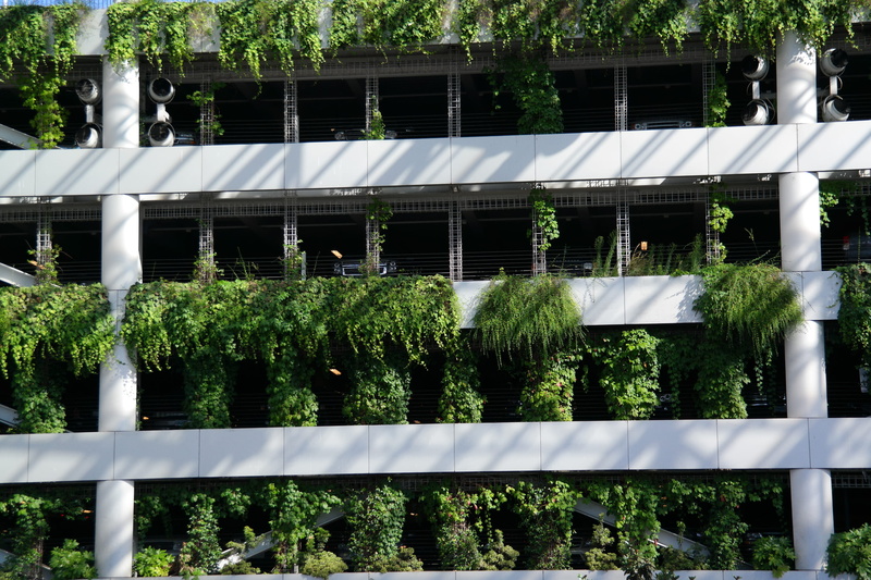roof, beautiful, fence, garage, portland, no people, day, barrier, 2K, security, artsy, vegetation, portland airport, parking, airport, tree, oregon, white color