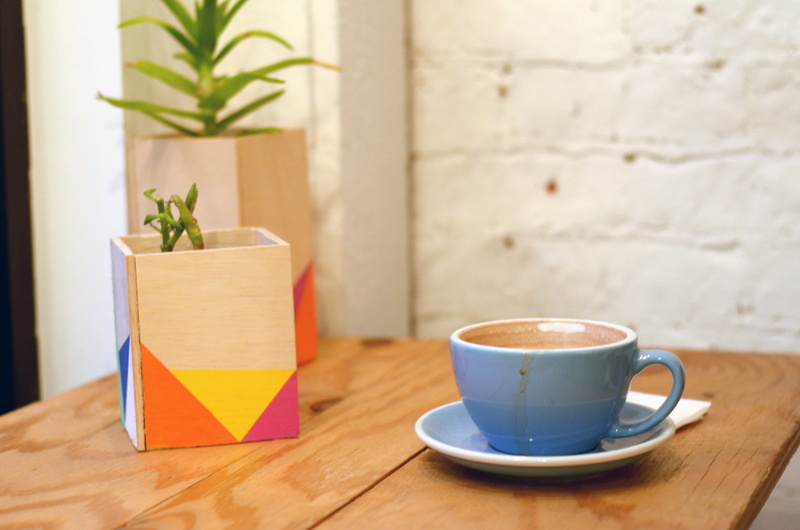 plant, wood - material, blue cup, artsy, refreshment, bright, clean, drink, day, succulents, cute, coffee, mug, no people, indoors, crockery, cup, saucer