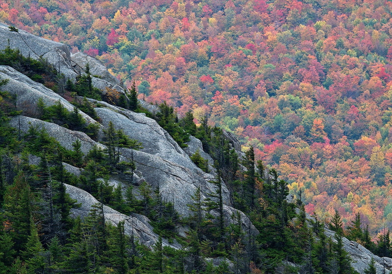 tranquility, tree, autumn, no people, coniferous tree, green, 720P, nature, scenics - nature, outdoors, environment, remote, land, mountains, landscape