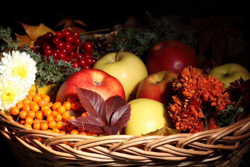 no people, decoration, healthy Eating, apple, thanksgiving, sea buckthorn, vegetarian Food, nature, large group of objects, healthy Lifestyle, harvesting