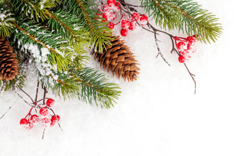 no People, frame, celebration, outdoors, holiday, cold temperature, close-up, copy Space, coniferous Tree, hanging, plant, backgrounds, branch, sphere