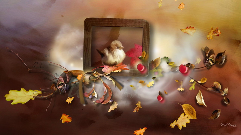 justification, apples, bird, brown, fall, firefox persona, autumn, animals, leaves, 1080P