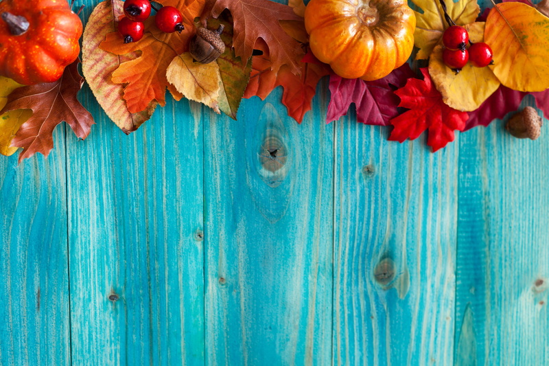 acorns, leaves, flower, table, no people, harvest, pumpkin, food and drink, decoration, food, leaf, orange, fruit, full frame, pattern, backgrounds, close-up