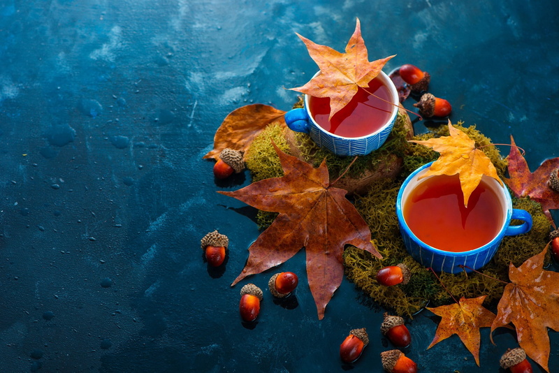 autumn, moss, mugs, tea, Cup, still life, leaves, 1080P, acorns, drink