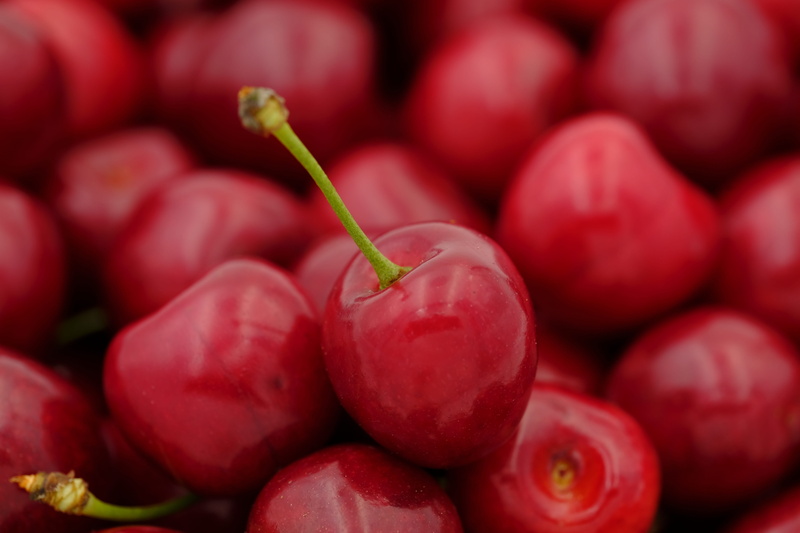 cherry, bird cherry, close-up, food, abundance, wellbeing, red, sweet cherry, fruit, freshness, plant stem, 5K, pome fruit, heap, ripe, plant, backgrounds