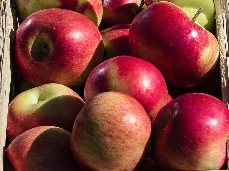 group, indoors, market, healthy eating, freshness, red, nutrition, retail, apple, fruit, pome fruit, 2K, group of objects, no people, autumn, food, apple - fruit