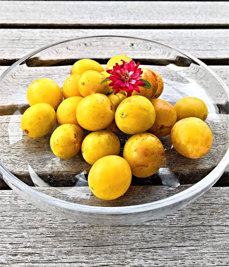 indoors, delicious, yellow, healthy, plant, food, autumn, pome fruit, flower, sweet as sugar, high angle view, orange, ripe, close-up, bowl, food and drink