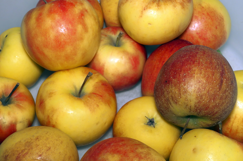 no people, wellbeing, market, vegetarian food, vegetarian, snack, still life, high angle view, large group of objects, apple, 5K, ripe, aplaz, bio, food and drink