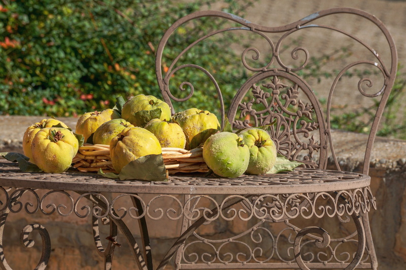 food, metal, healthy eating, quince, decoration, yellow, wellbeing, lemon, decorative, container, kernobstgewaechs, nutrition, herbstimpression, no people