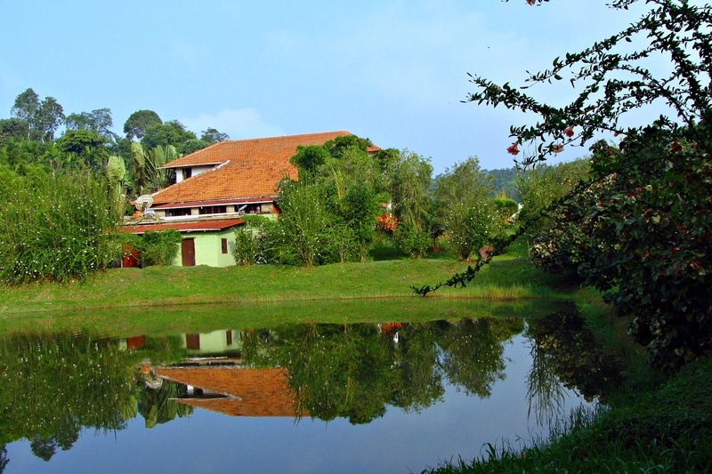 waterfront, kodagu, house, architecture, building exterior, sky, india, holiday home, karnataka, resort, 2K, growth, residential district, plant, no people