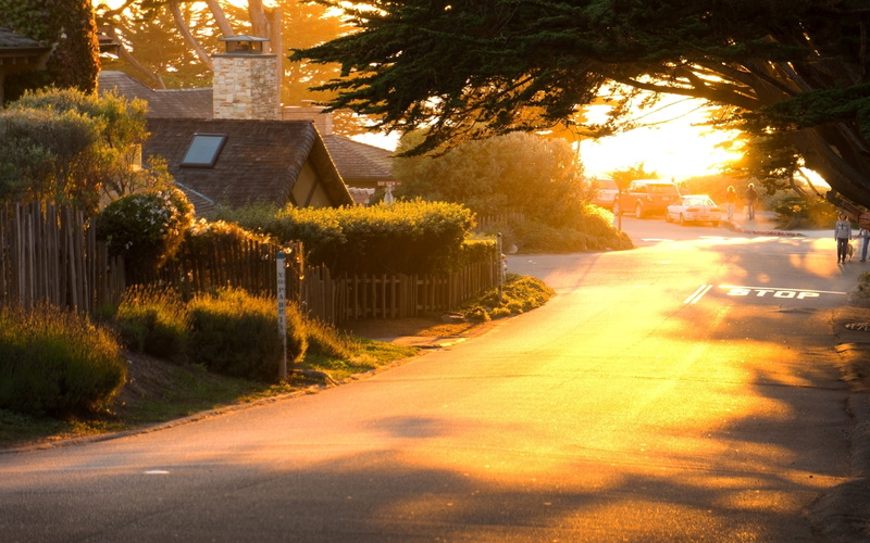 vegetation, 1080P, street, day, home, shade, foliage, tree, sunset, road, sunrise, greenery, machine, trees, plant, city, house, mood, sun, nature, car