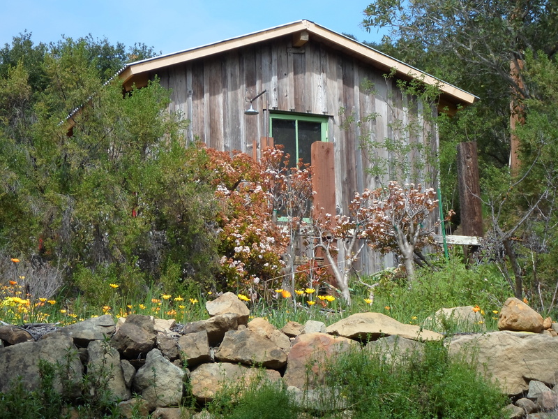 rocks, trees, wood - material, landscaping, weathered, building, flora, leafy, residence, tree, rock - object, day, plants, gardening, built structure