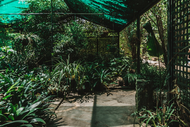 green color, australia, tree, botanicals., yarra glen, greenhouse, greenery, garden, house, home, built structure, footpath, no people, nature, hanging plants