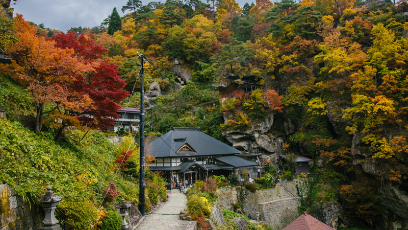 beauty in nature, outdoors, park, tranquility, 5K, trees, autumn collection, plant, japan, orange color, direction, autumn, tranquil scene, architecture