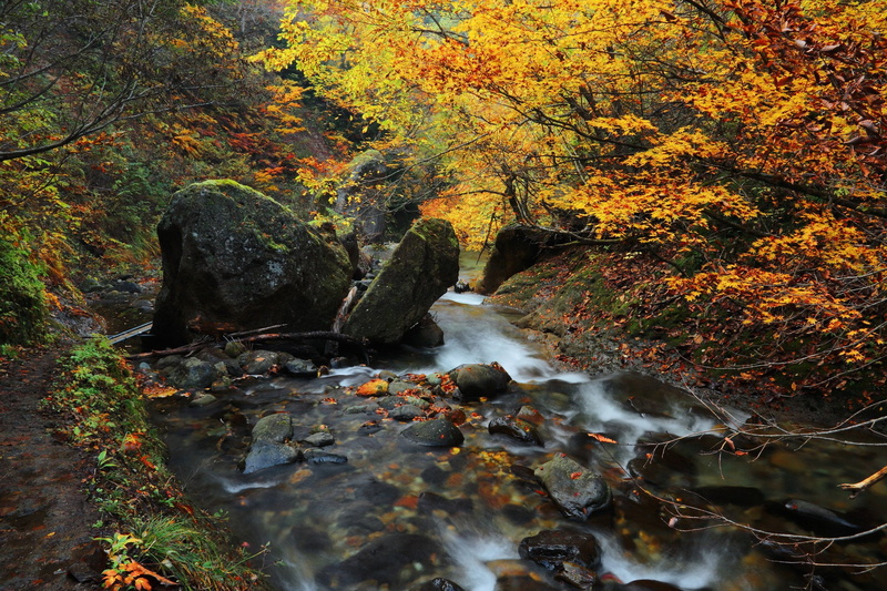 stone, wood, river, japan, perfectura, yamagata, autumn, twigs, creek, moss, 1080P, prefecture
