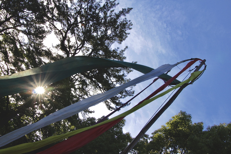 lens flare, day, sunbeam, matsuri, may, sakata, tree, pole, green color, sun, flag, sunlight, low angle view, no people, sky, patriotism, asia, outdoors