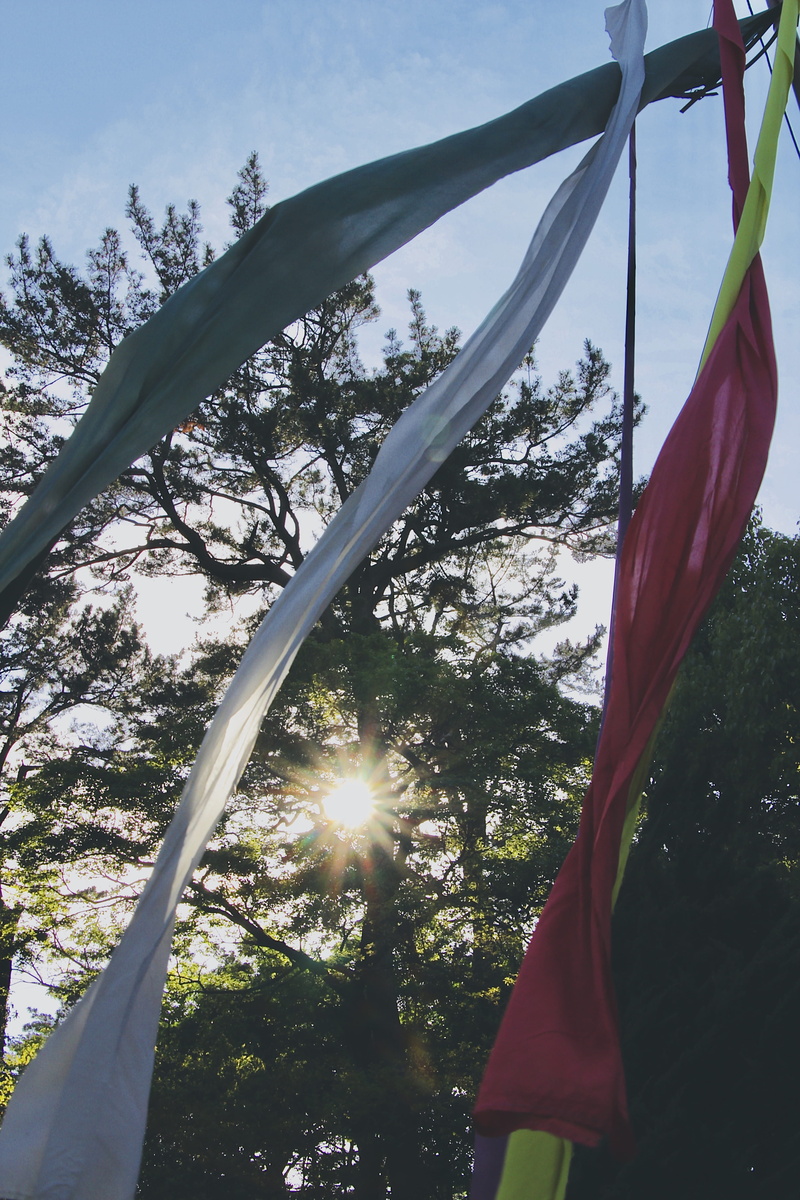 growth, plant, yamagata, independence, patriotism, red, flag, day, 5K, low angle view, asia, no people, pride, emotion, hanging, sunlight, april, spring