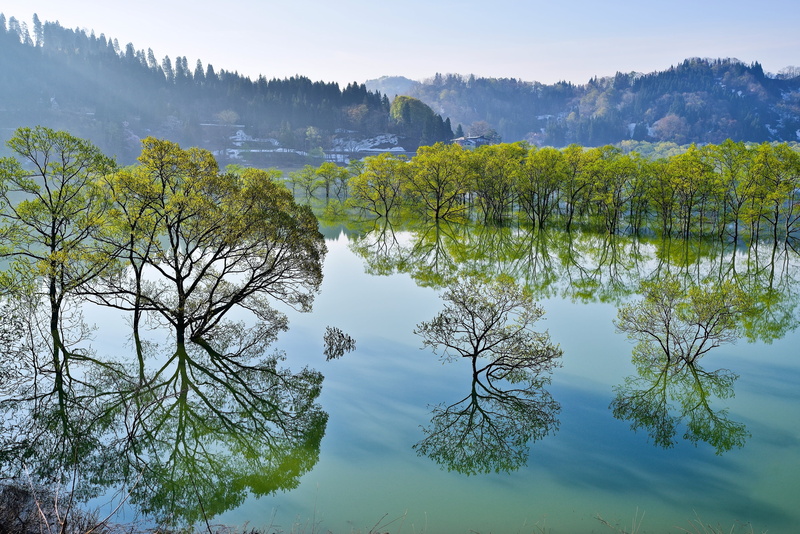 Japan, tree, Iide, environment, reflection lake, reflection, green color, 2K, outdoors, Its Shirakawa, sky, Yamagata, non-urban scene, day, lake, tranquility