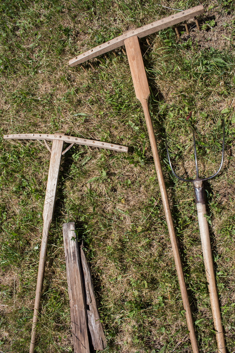 growth, Computing, 5K, farmer, harvest, connection, no people, work, wood - material, device, built structure, meadow, agriculture, gardening, green color