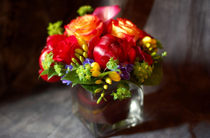 springtime, season, gift, still life, glass, plant, green Color, composition, love, rose - Flower, flowering plant, day, vase, romance, red, cut Flowers