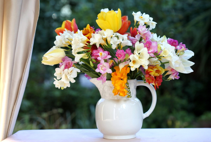 jar, orange, box, freesia, petal, vulnerability, springtime, 2K, multi Colored, focus on foreground, leaf, pink Color, white color, inflorescence, vase