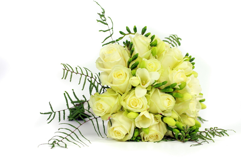 backgrounds, white background, plant, summer, flowering plant, holiday, gift, celebration, white, roses, close-up, isolated, freshness, bouquet, decoration