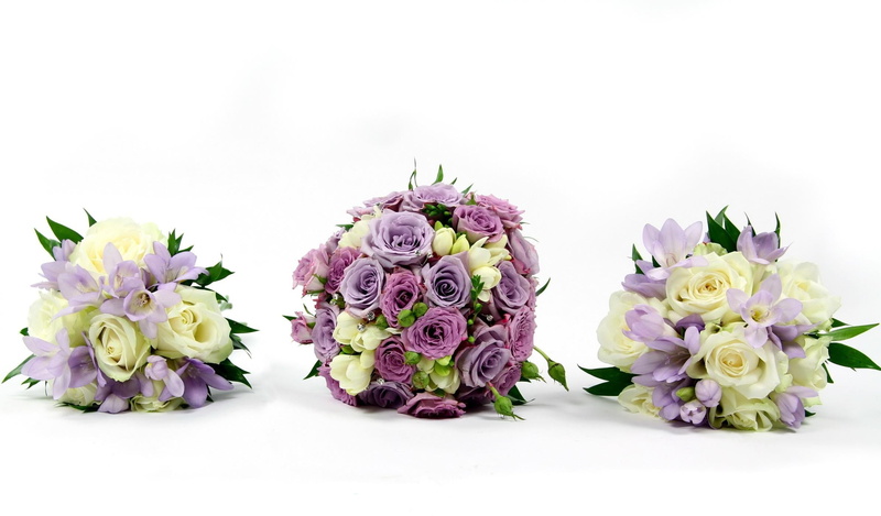 purple, lisianthus russell, pink Color, studio shot, gift, no people, white background, roses, petaled, decoration, flowering plant, yellow, white, flowers