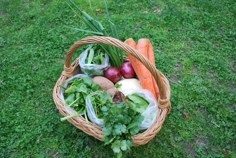 Carrot, fresh, food and drink, nutrition, choice, salad, root vegetable, Healthy, 4K, bio, vitamin, agriculture, raw, vegetarian, Vegetable, onion, wellbeing
