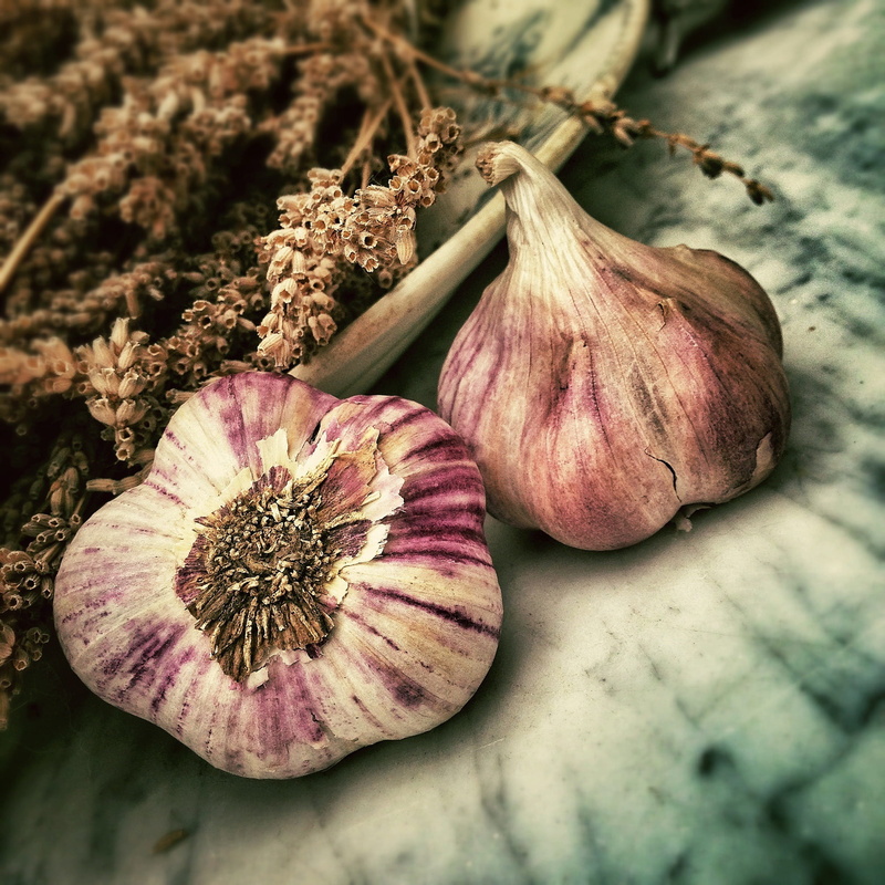 wellbeing, indoors, no people, spice, purple, raw Food, healthy Eating, surface, vegetable, focus, food And Drink, organic, selective focus, garlic, two