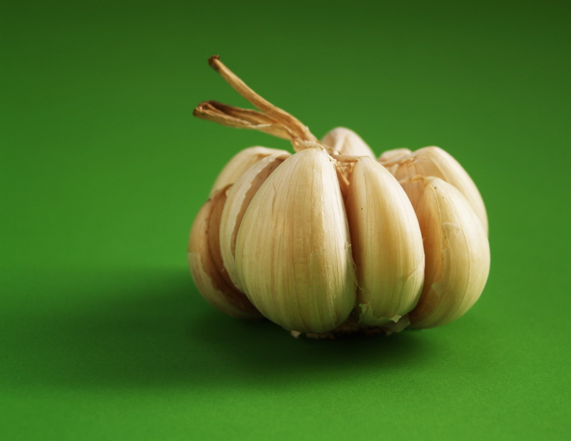 nobody, indoors, meals, harvest, copy space, still, fruit, freshness, food, bulb, object, single object, part, garlic, plant, aromatic, ripe, raw food