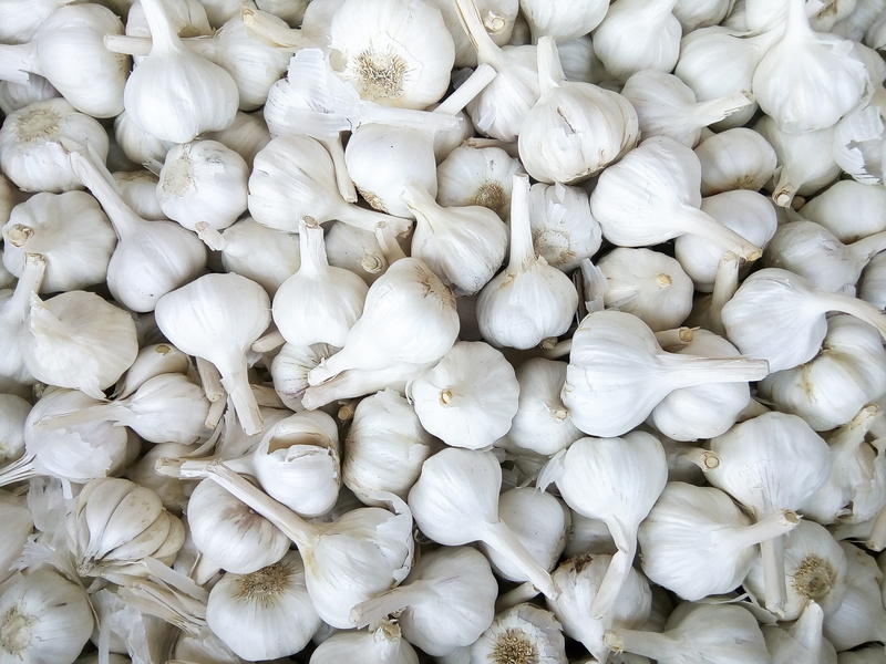 food, healthy eating, wellbeing, garlic bulb, backgrounds, food and drink, garlic, market, image, for sale, ingredient, retail, full frame, large group of objects