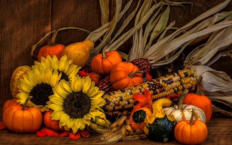 freshness, autumn, wellbeing, food, vegetable, Corn, no people, Sunflower, halloween, healthy eating, Still Life, Wheat, yellow, choice, squash - vegetable