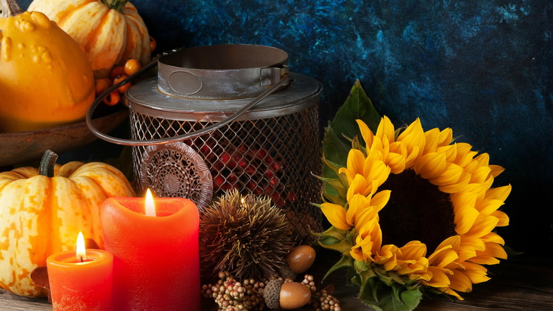 Candle, Photography, Sunflower, Still Life, Gourd, 4K, Fall