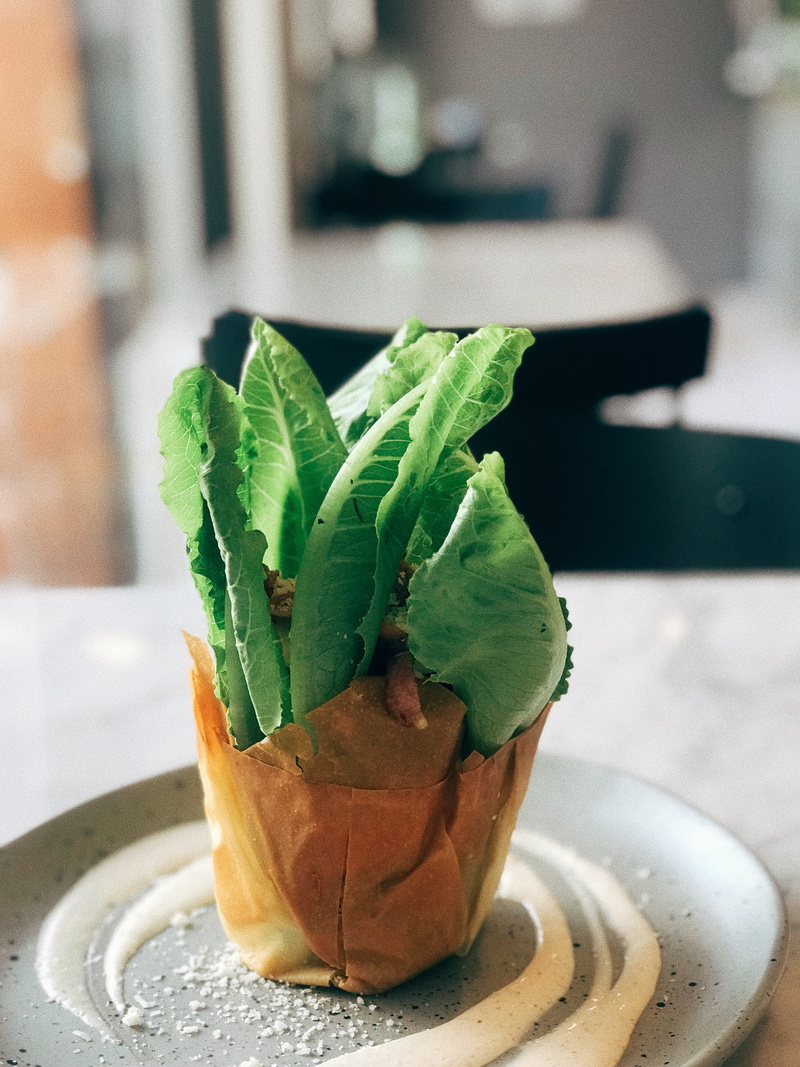focus on foreground, meal, salad, ready-to-eat, freshness, leaf, still life, indoors, indulgence, close-up, plate, herb, crockery, food, food and drink
