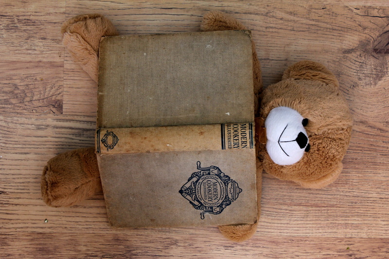 sweet, bear, cuisine, furry, cuddly, adorable, wood - material, high angle view, pattern, fluffy, old, sport, still life, book, arts culture and entertainment